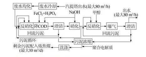 硝化反硝化处理焦化废水